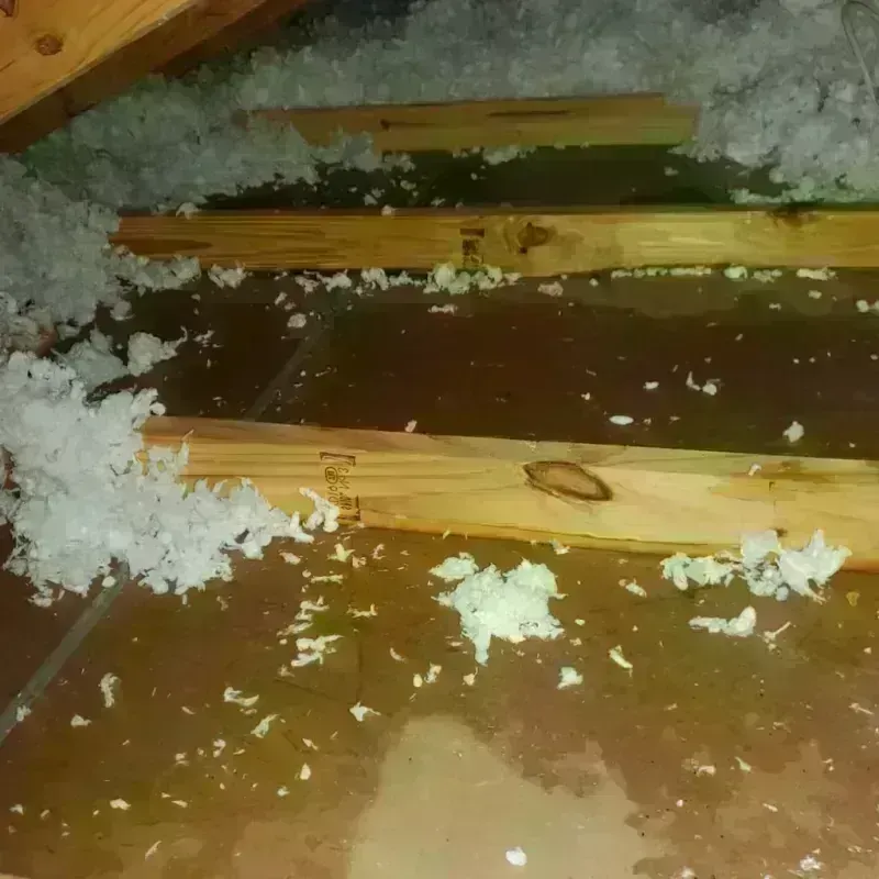 Attic Water Damage in Union City, CA